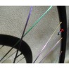 ''Rainbow'' ZTTi Roues Disques1400gr Disques Jantes DT XR331 Route et Cyclo-cross Moyeux ZTTi SL