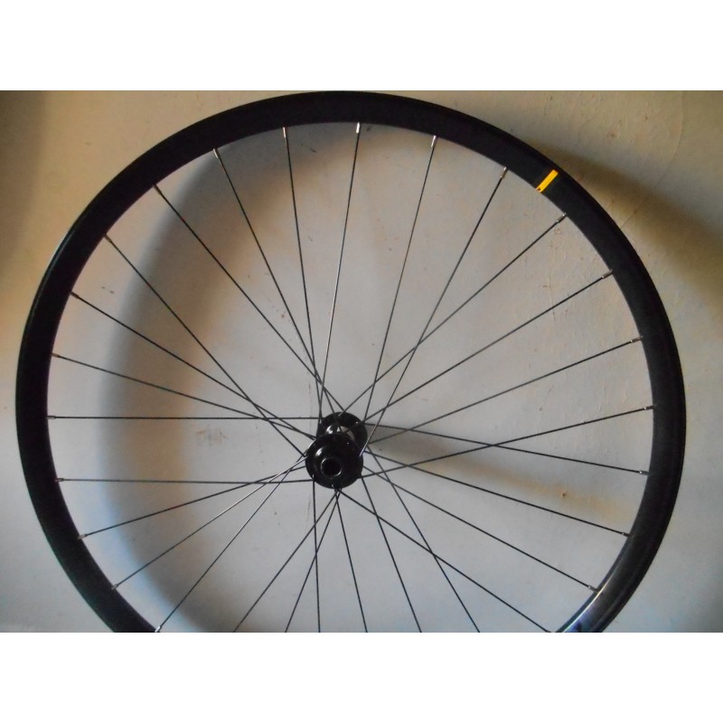 Roue Avant Boost DT Swiss 15X110 Jante Mavic E-XM 430 29''