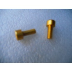 2 Vis de porte bidon alu doré.