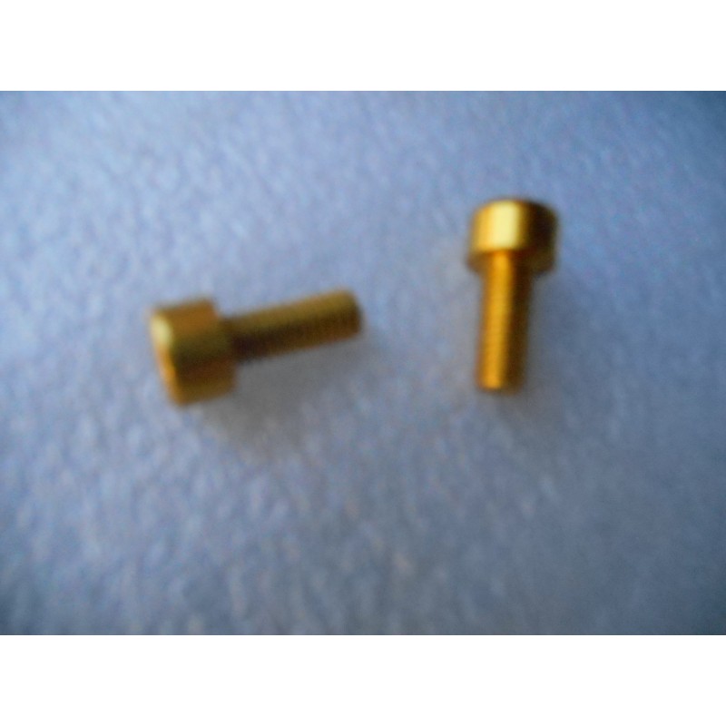 2 Vis de porte bidon alu doré.