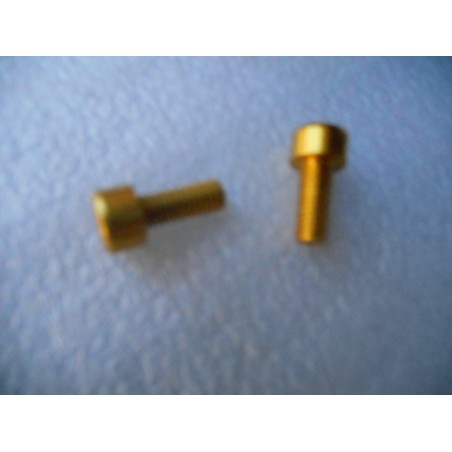 2 Vis de porte bidon alu doré.